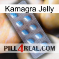 Kamagra Jelly viagra3